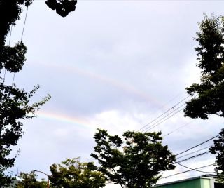 ゜＊京都から皆さまへ＊幸運虹゜悠アンヌ